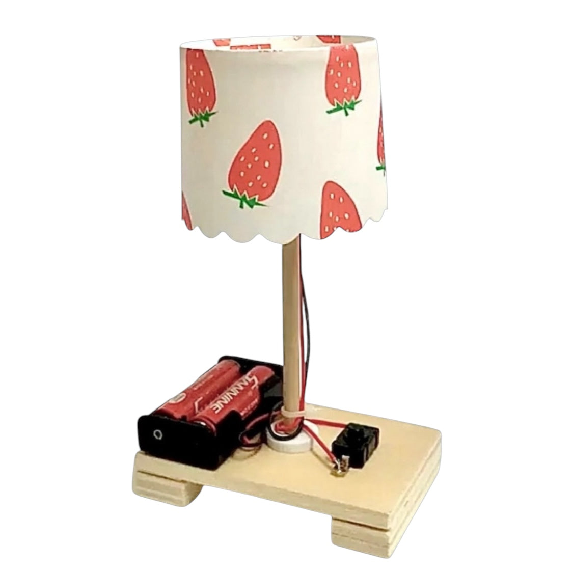 DIY Lamp - STEM Experiment Kit - Build A Working Lamp