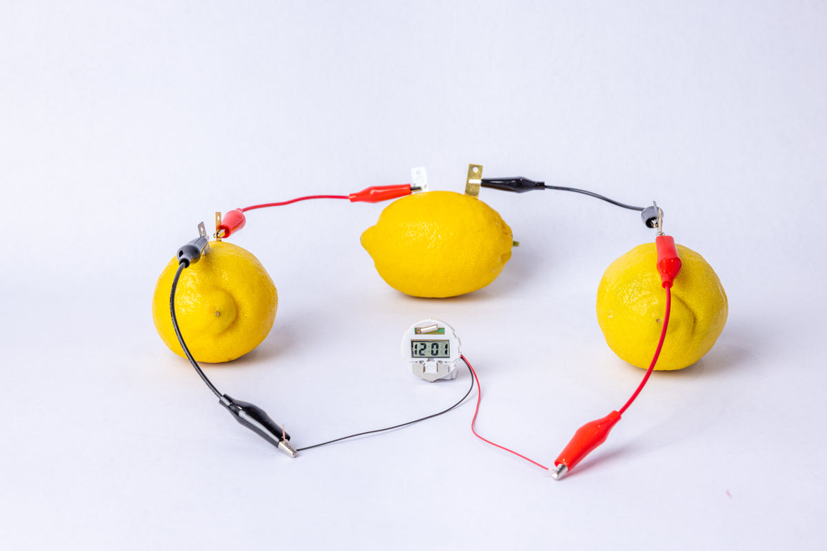Lemon Electricity - STEM Experiment Kit - Make Electricity With Food