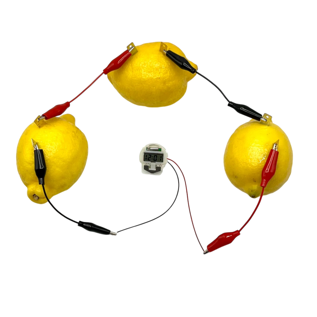 Lemon Electricity - STEM Experiment Kit - Make Electricity With Food