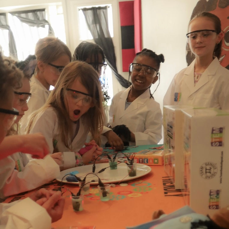 Ava’s Genius Electricity Lab