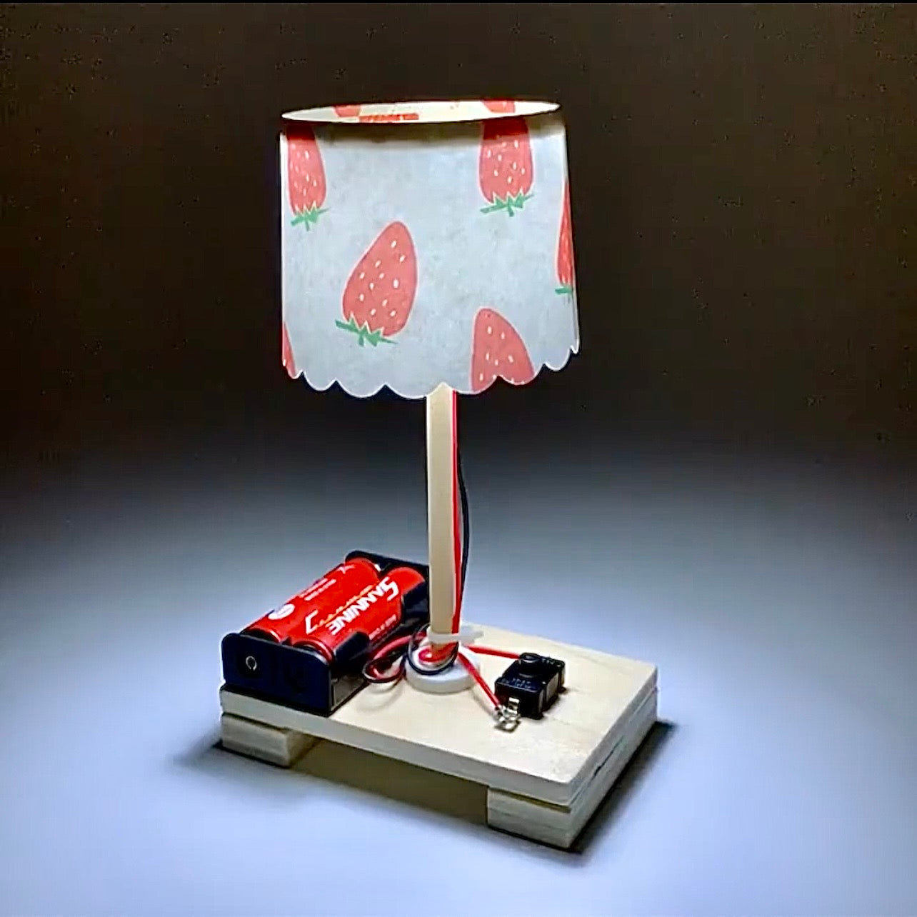 DIY Lamp - STEM Experiment Kit - Build A Working Lamp