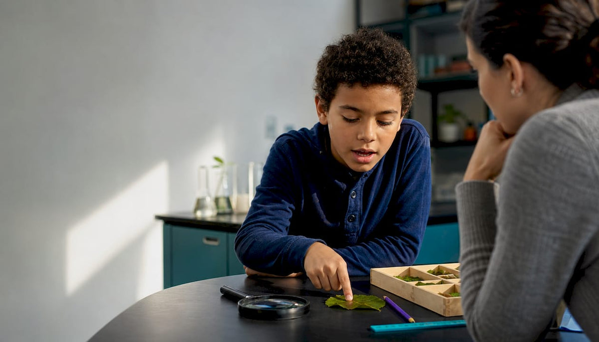 Child explaining science observation to educator