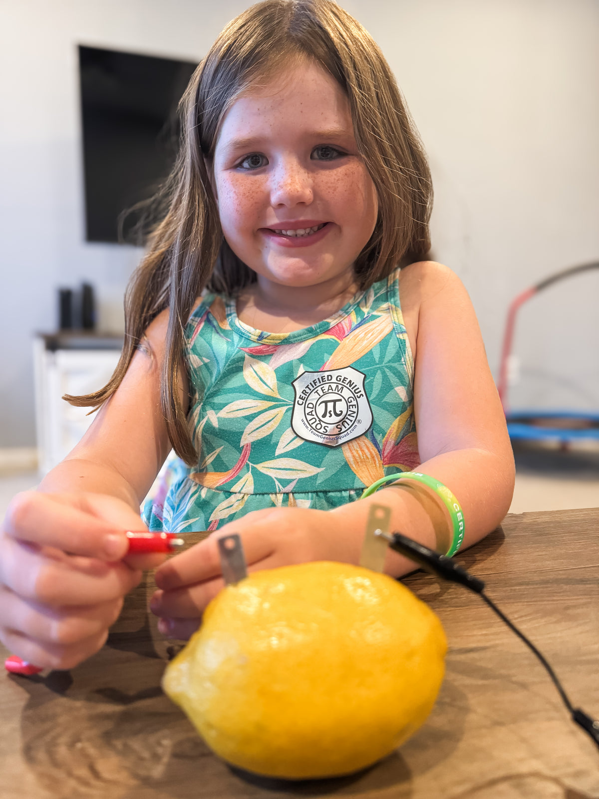 Lemon Electricity - STEM Experiment Kit - Make Electricity With Food