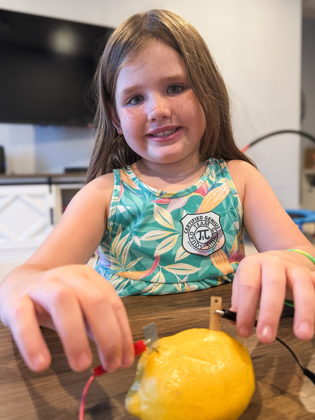 Lemon Electricity - STEM Experiment Kit - Make Electricity With Food