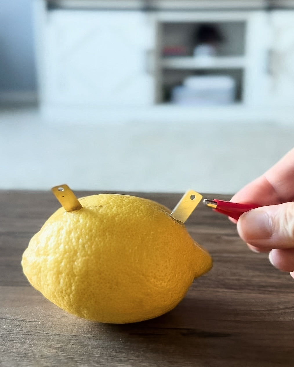 Lemon Electricity - STEM Experiment Kit - Make Electricity With Food