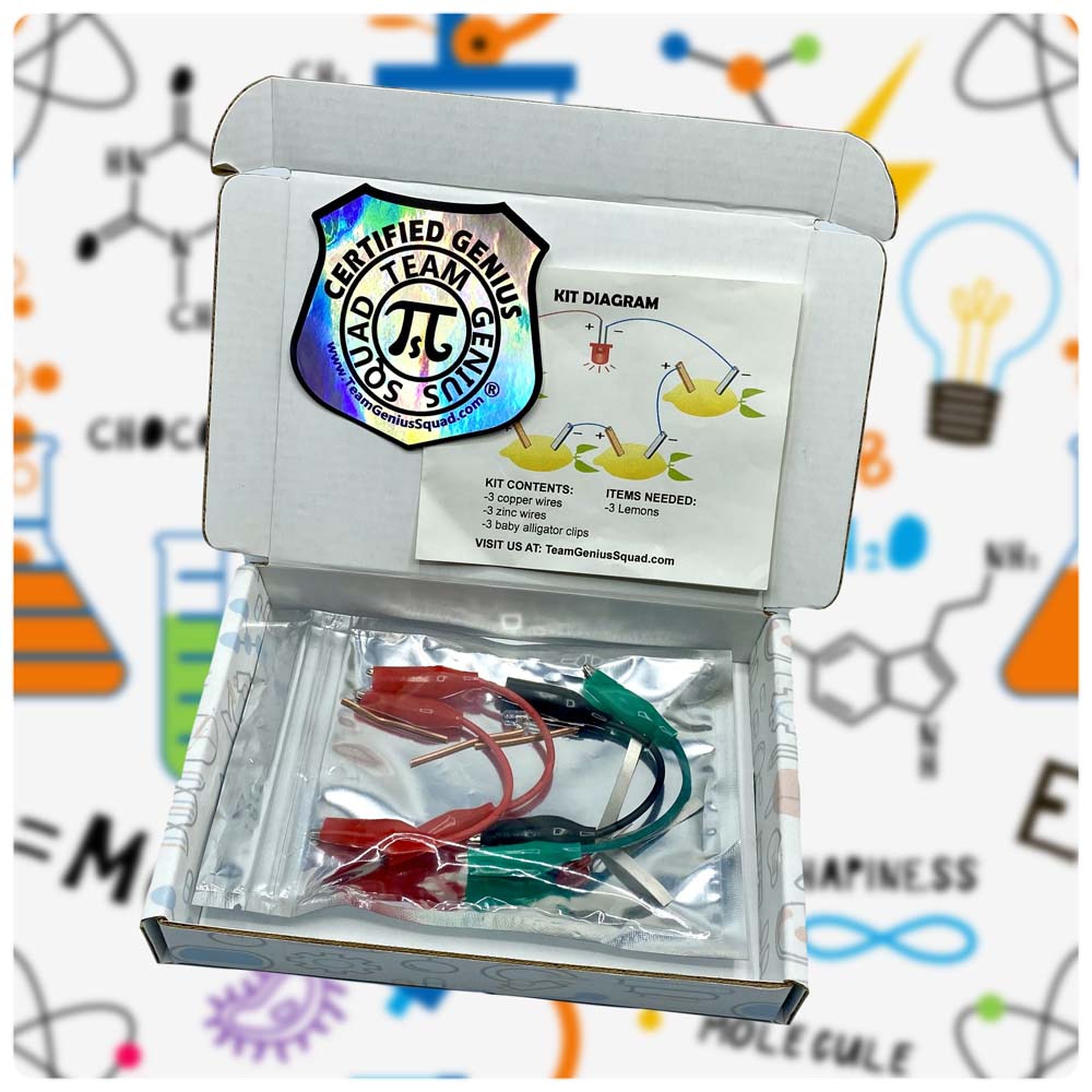Lemon Electricity Experiment Lab Kit