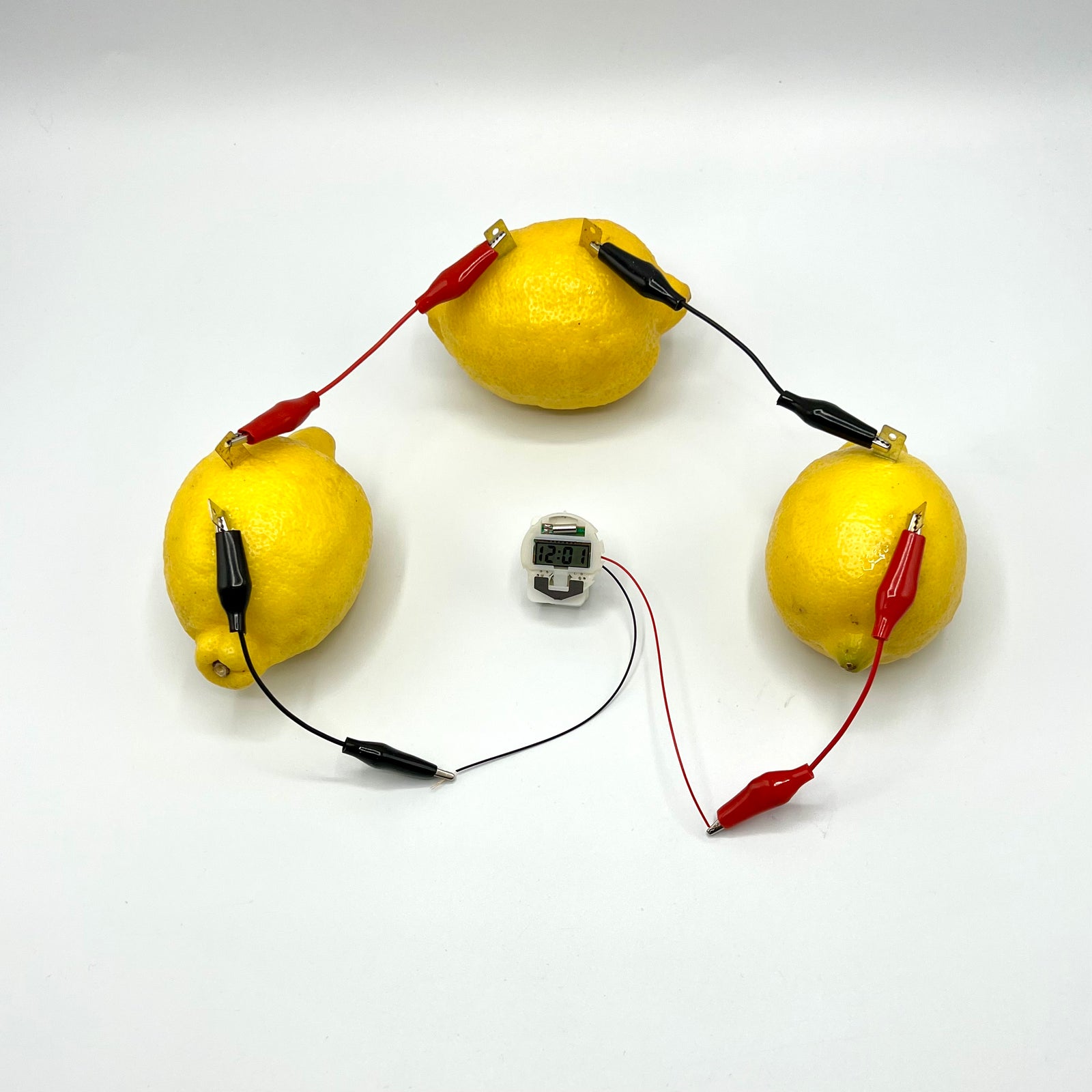 Science Lemon Lab Lemon Electricity STEM Experiment Lab Kit from Team Genius Squad Store